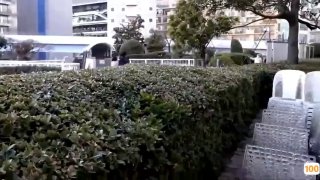 维拉早期顶格超大尺度订制作品~几位女人味十足风骚御姐露逼露奶顶胯抖奶抖臀各种搔首弄姿